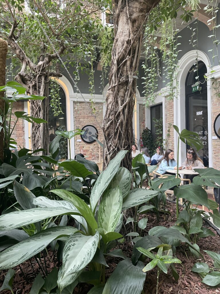 Twenty six restaurant budapest plante