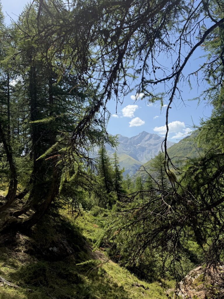 Gioberney randonnée bivouac