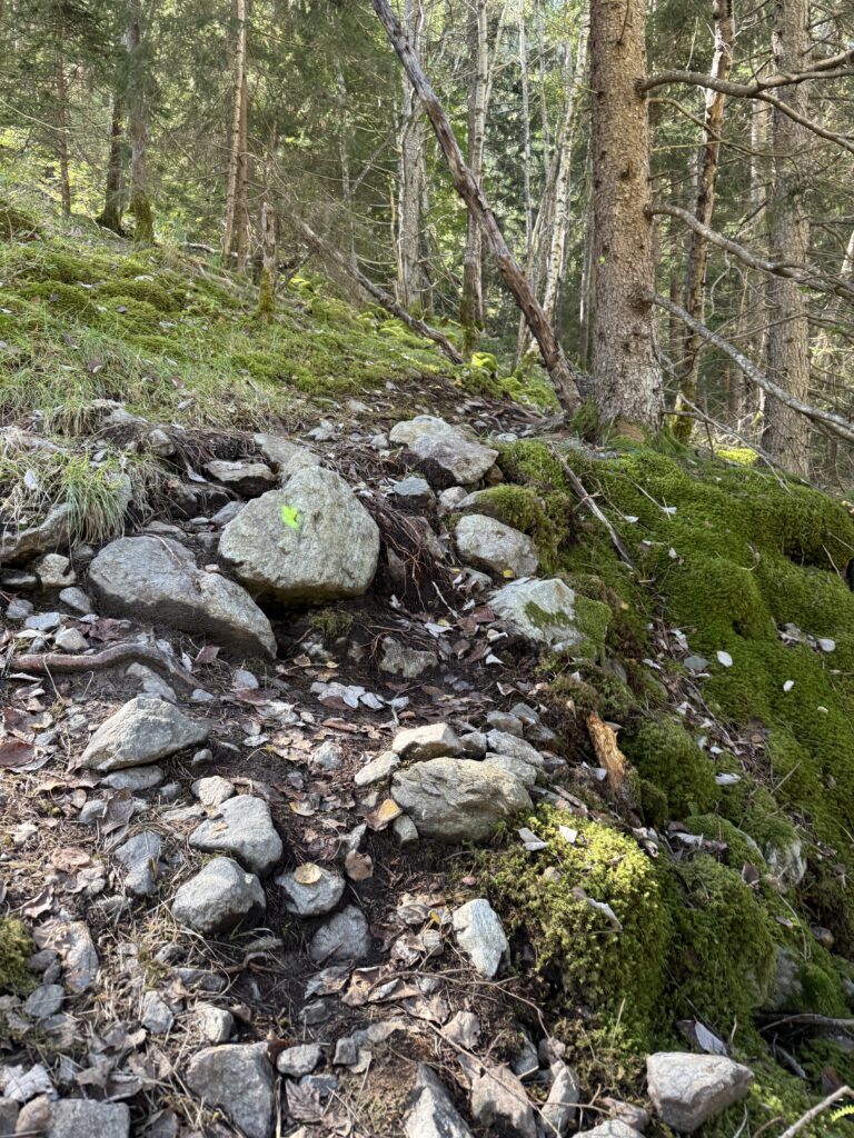 Suivre les traces jaunes