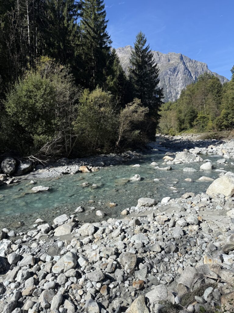 Lit de la rivière "le Vénéon"