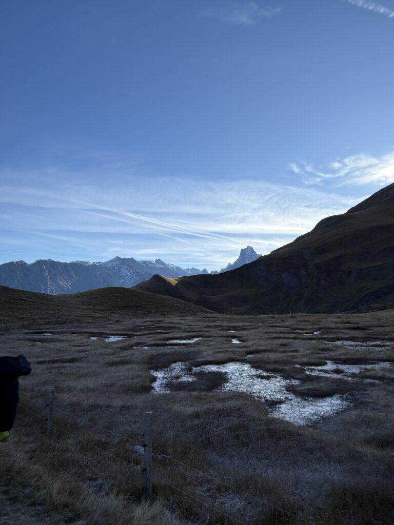 Tourbière de la Muzelle