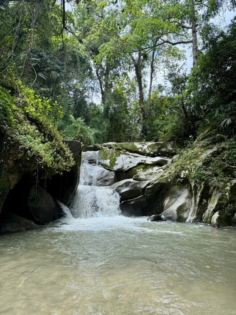 Cascade Minca