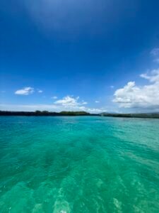 Ile isabela galapagos equateur