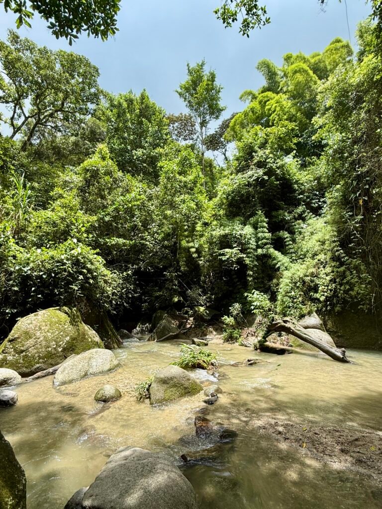 Minca colombie decouverte