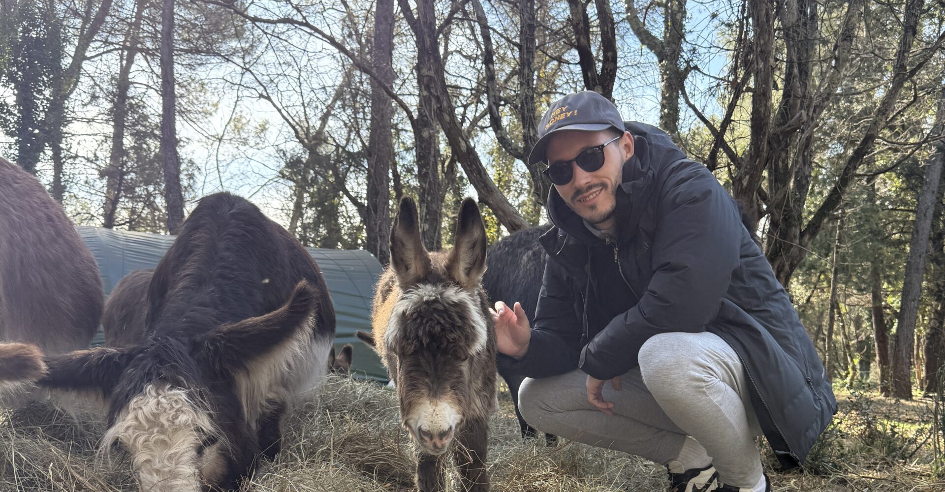 Week end avec des anes PACA
